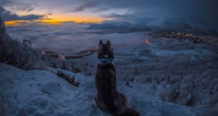 Знаки зодиака: с чего вам нужно начать 2018
