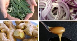 10 природных антибиотиков